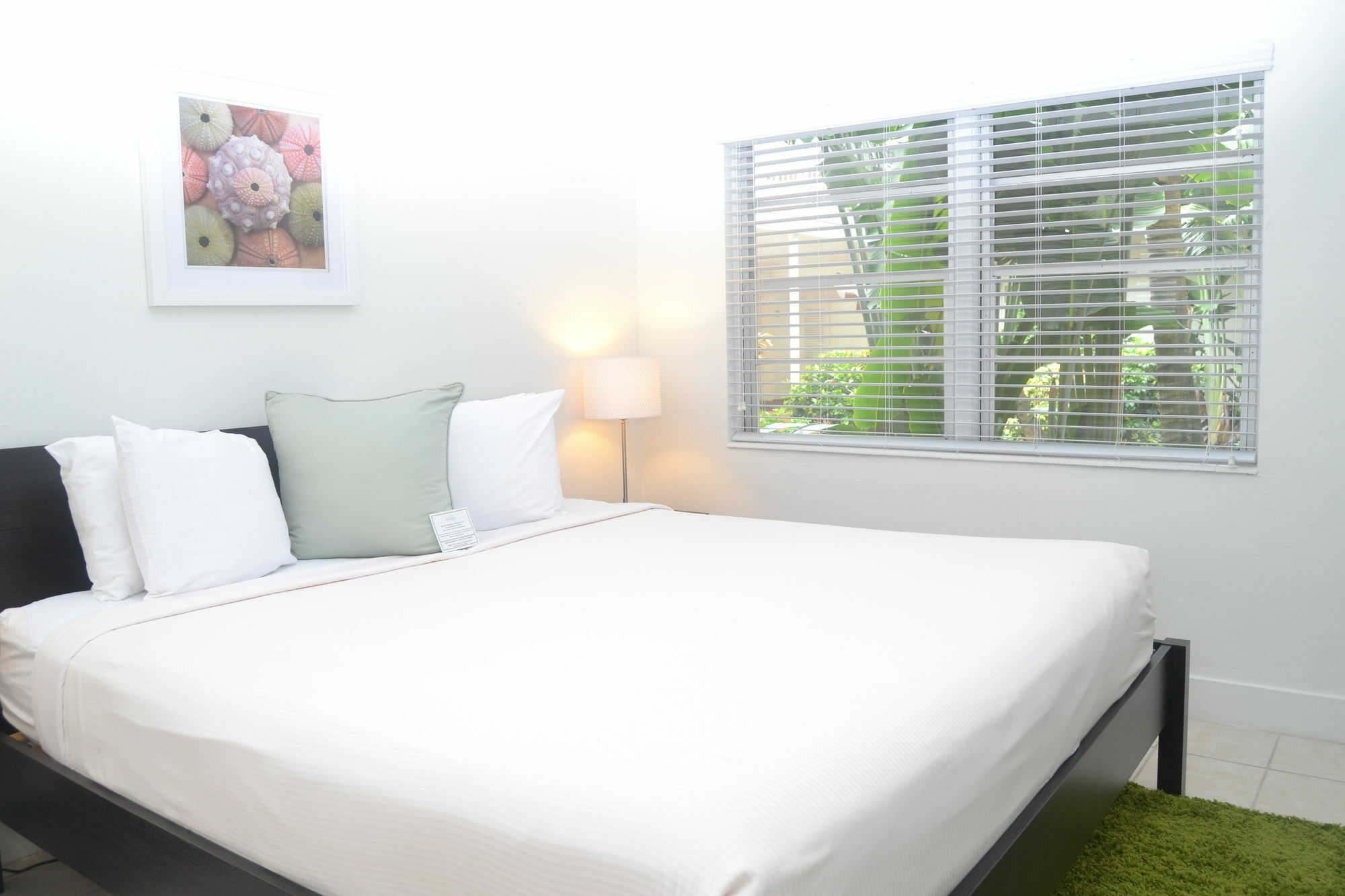 Solas A North Beach Village Resort Hotel Fort Lauderdale Bagian luar foto
